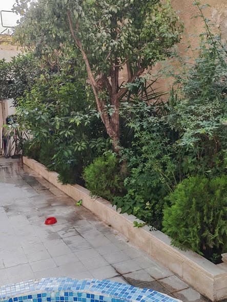 شقة 5 غرف 1 صالات 141م² أرضي للبيع