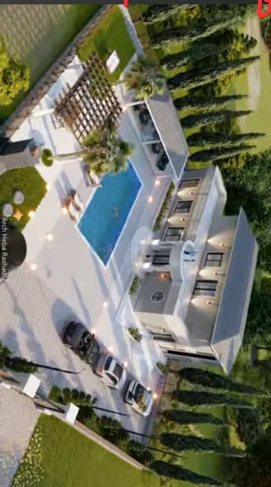 مكتب النخيل 