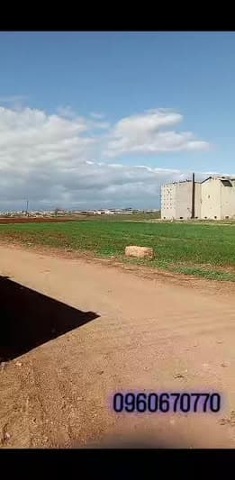 أرض 1150م² للبيع