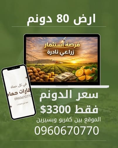 أرض 80000م² للبيع