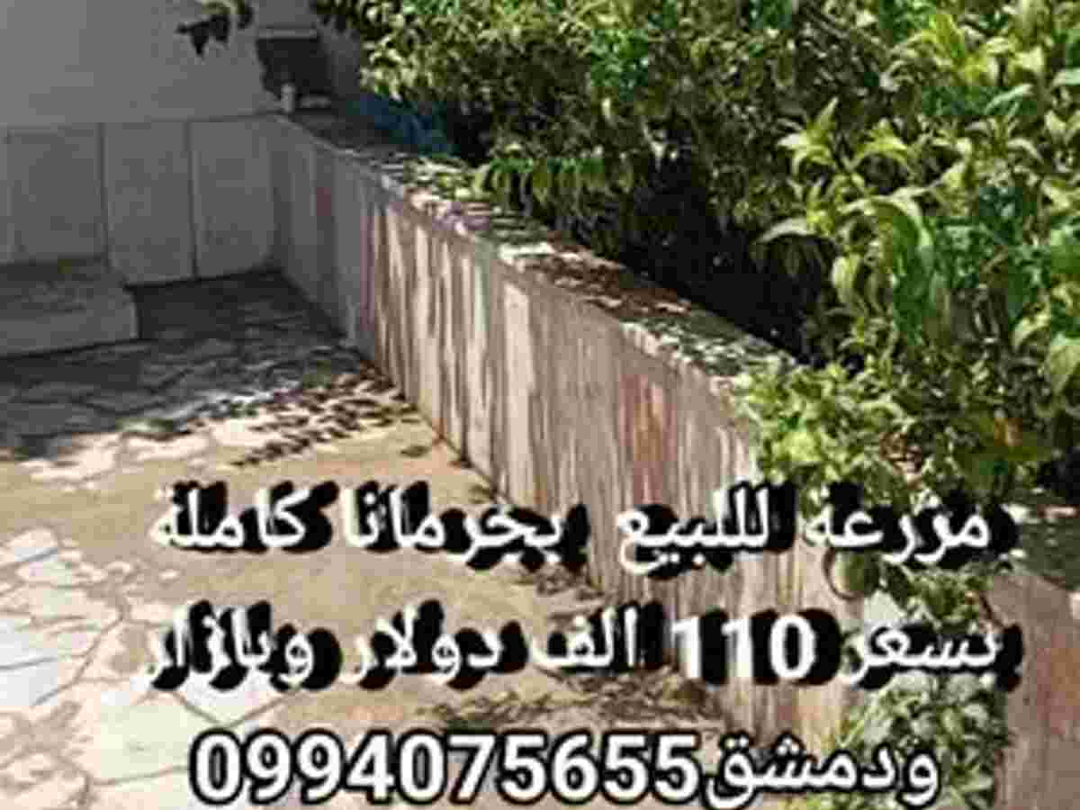 مزرعة 14000م² للبيع