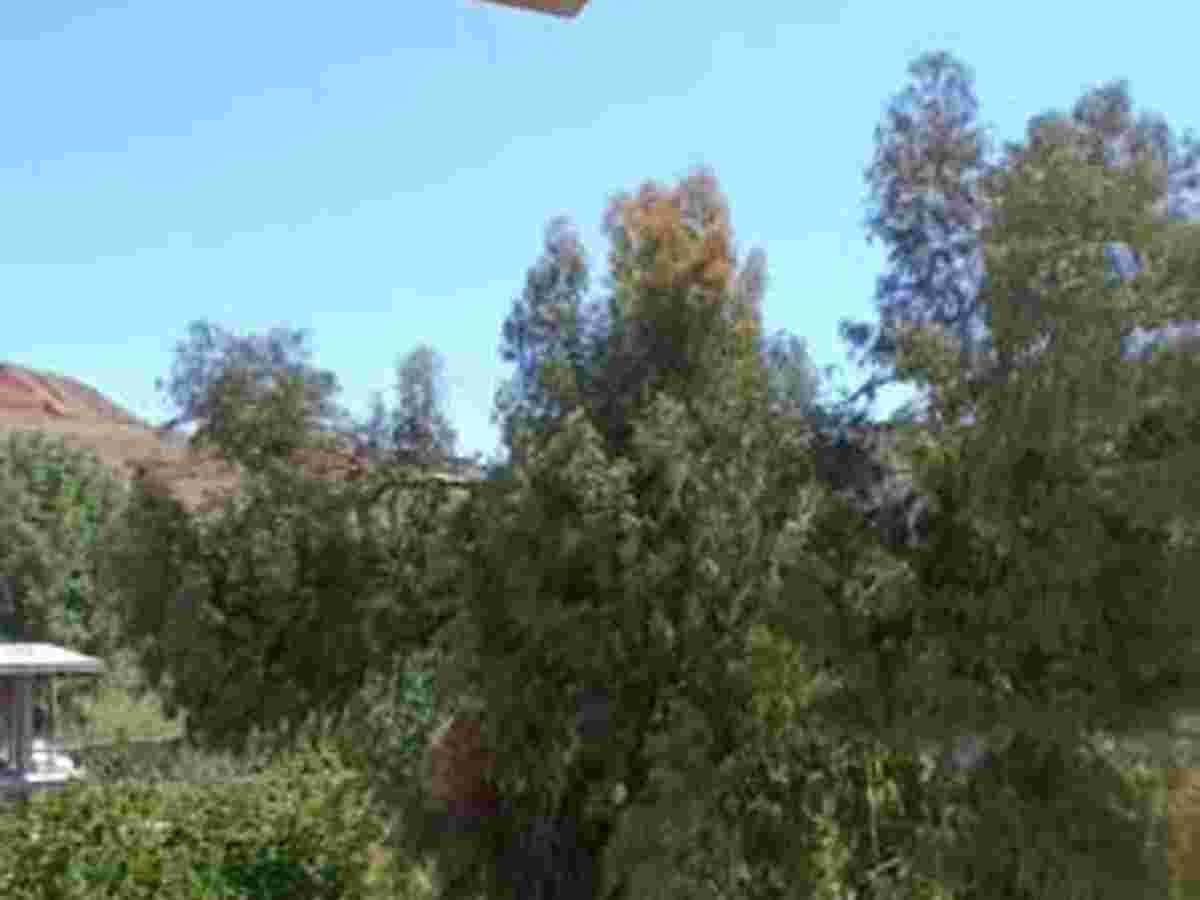 شقة للبيع