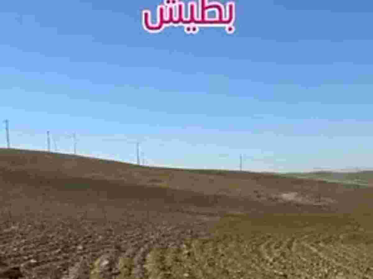 أرض 75000م² للبيع