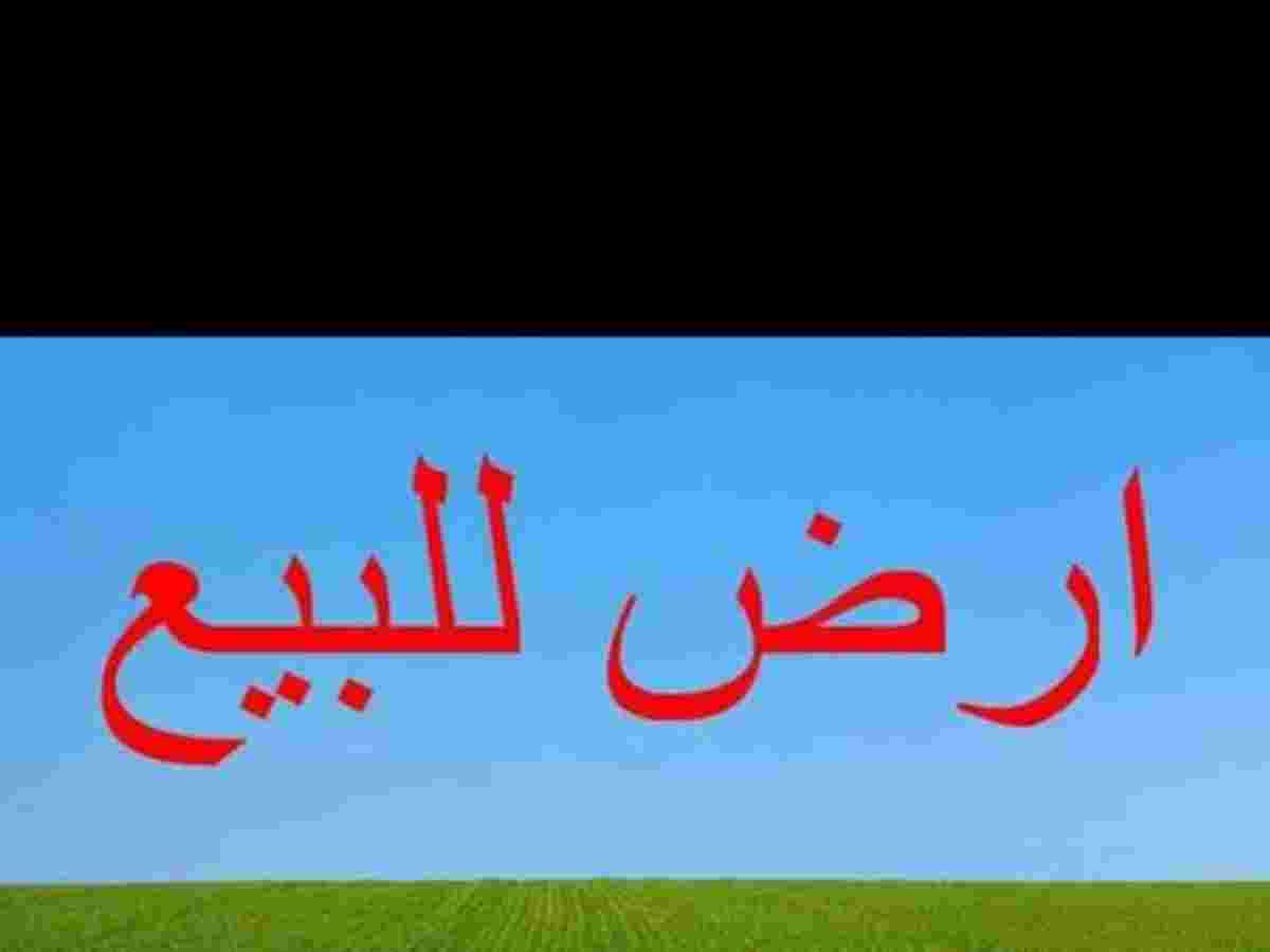 أرض 1000م² للبيع