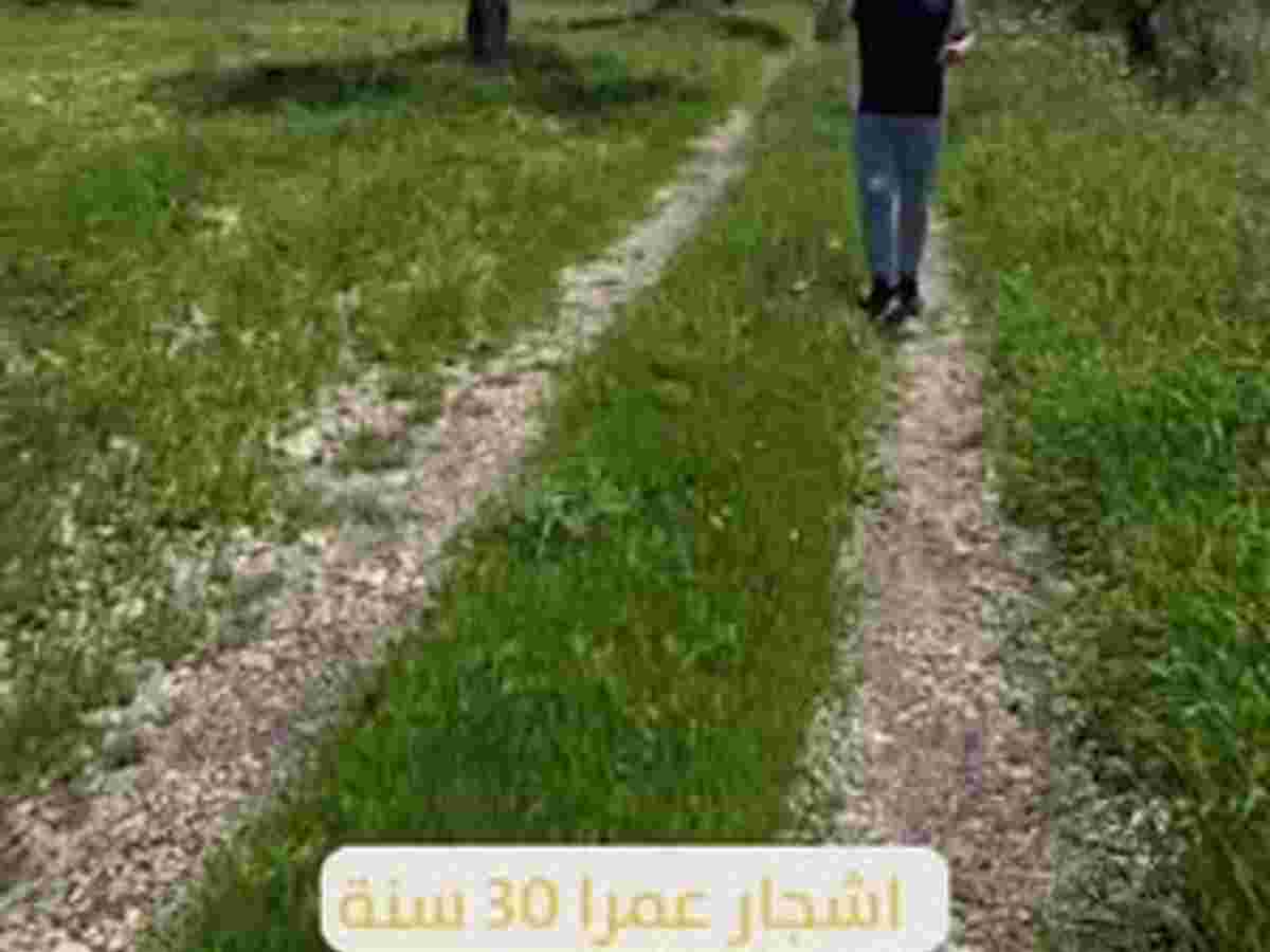 أرض 10500م² للبيع