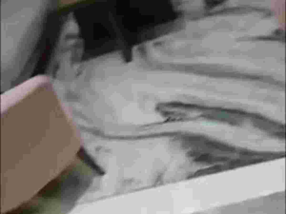 شقة 2 غرف 1 صالات 100م² طابق 1 للبيع
