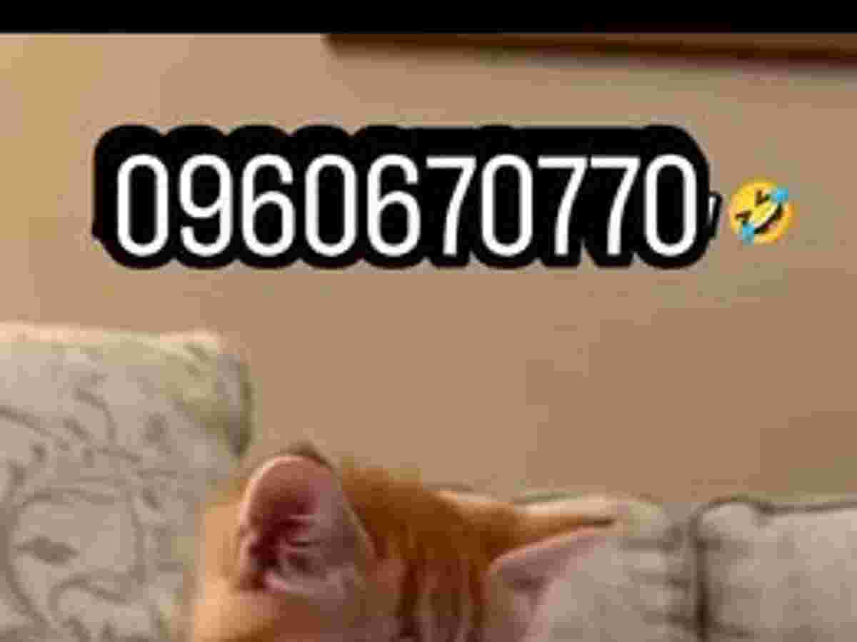 أرض 625م² للبيع