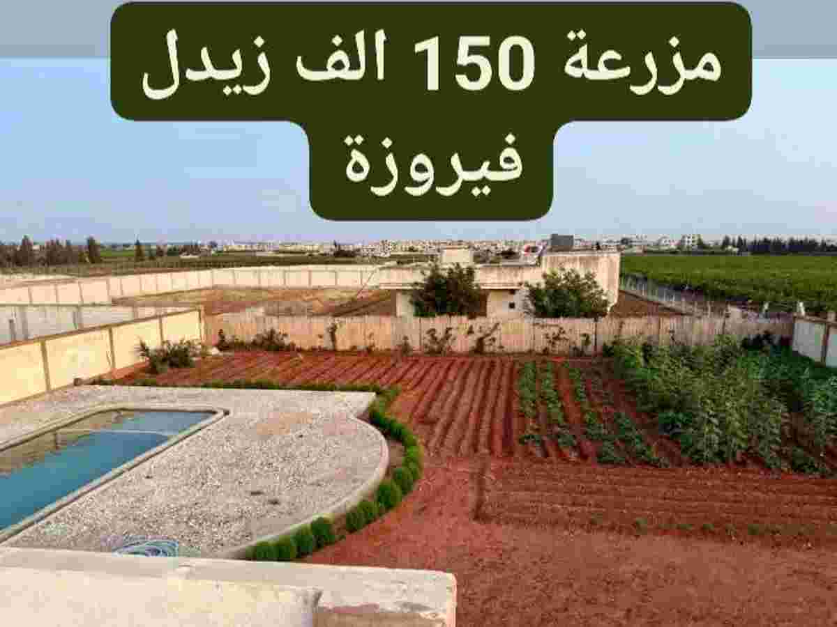 مزرعة 2015م² للبيع