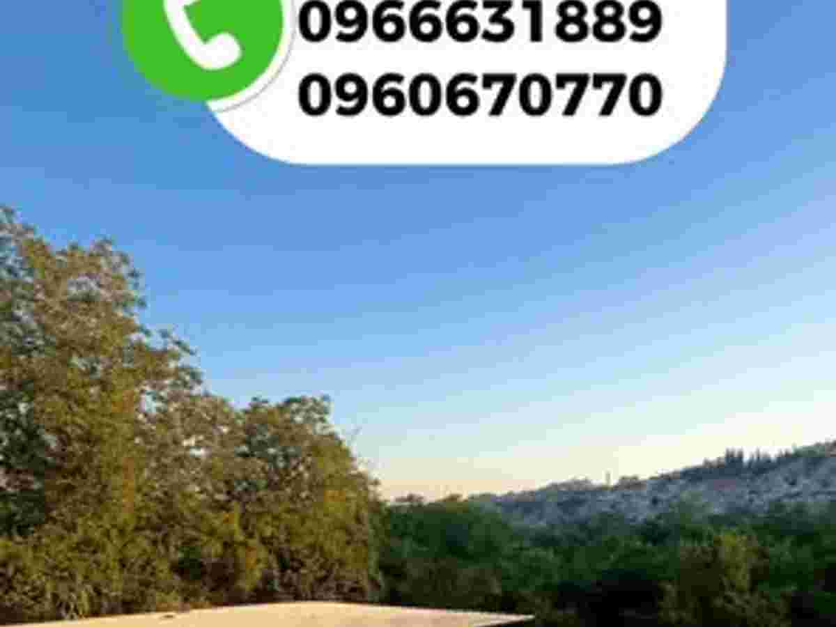 أرض 2250م² للبيع