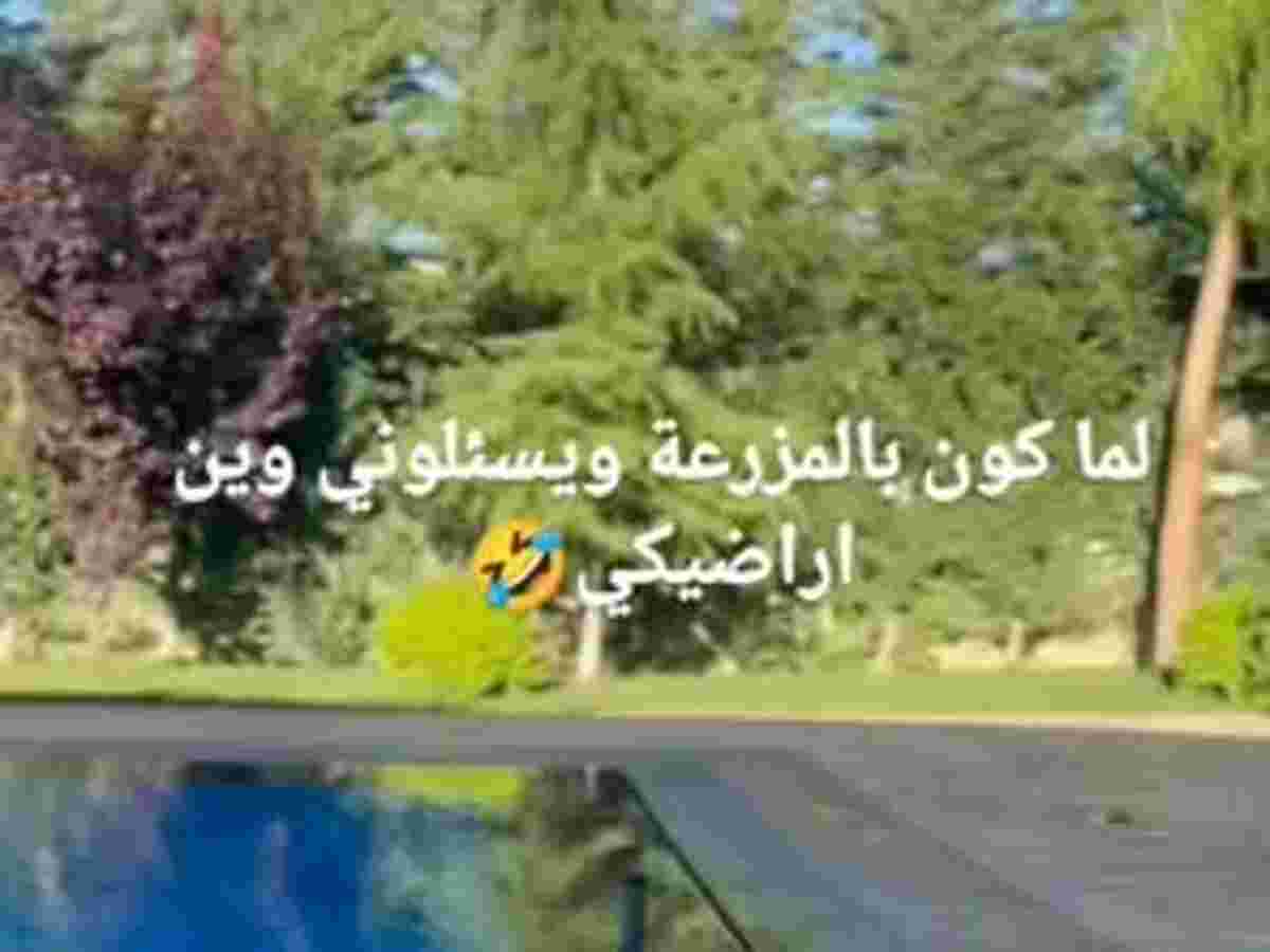مزرعة 4 غرف للإيجار اليومي