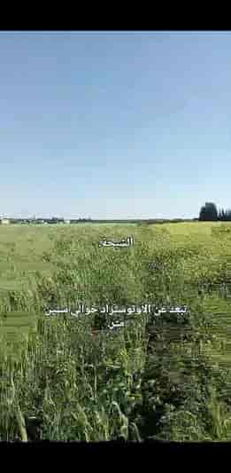 أرض 10000م² للبيع