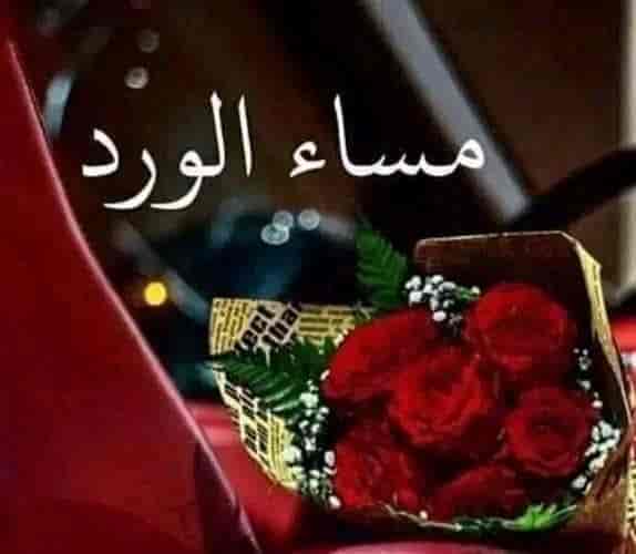 شقة 1 غرف 5م² أرضي للبيع