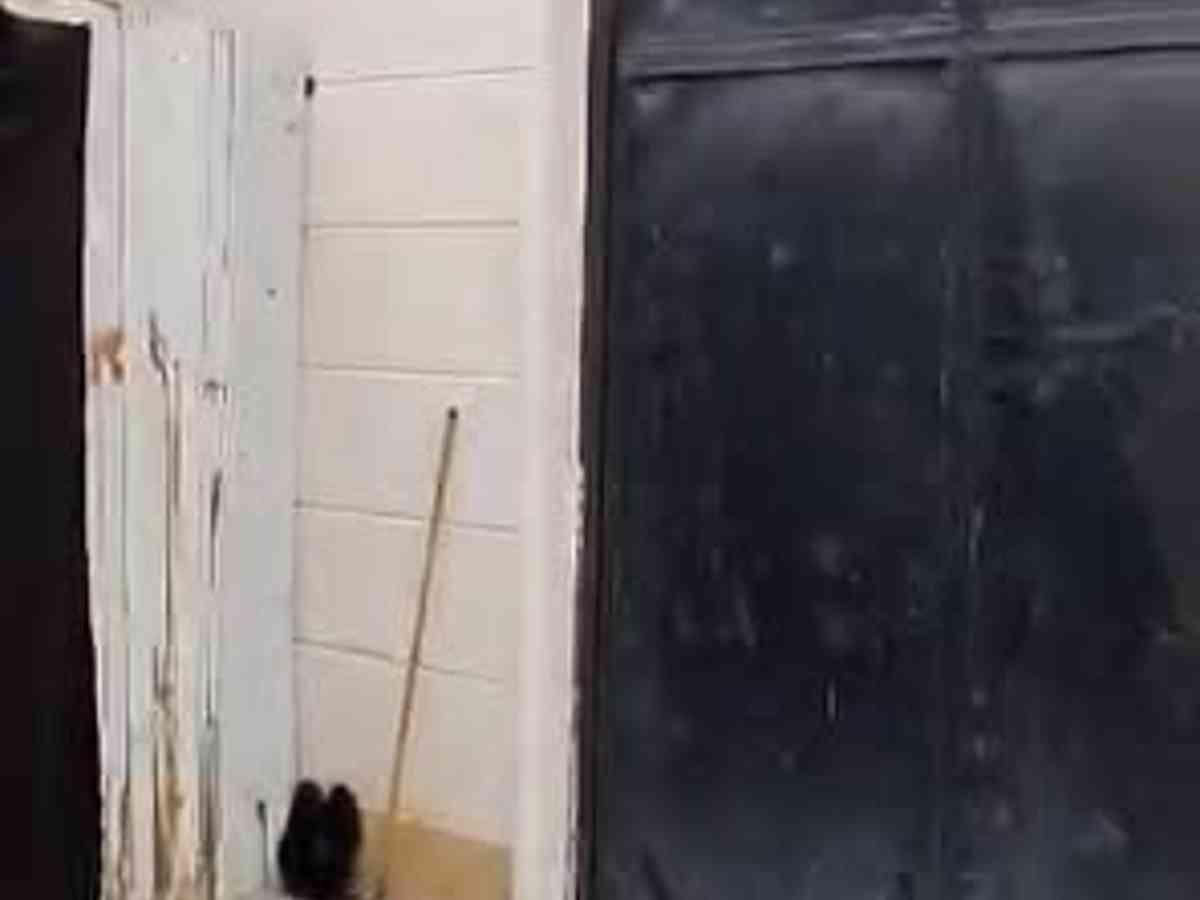 مصنع 255م² للبيع