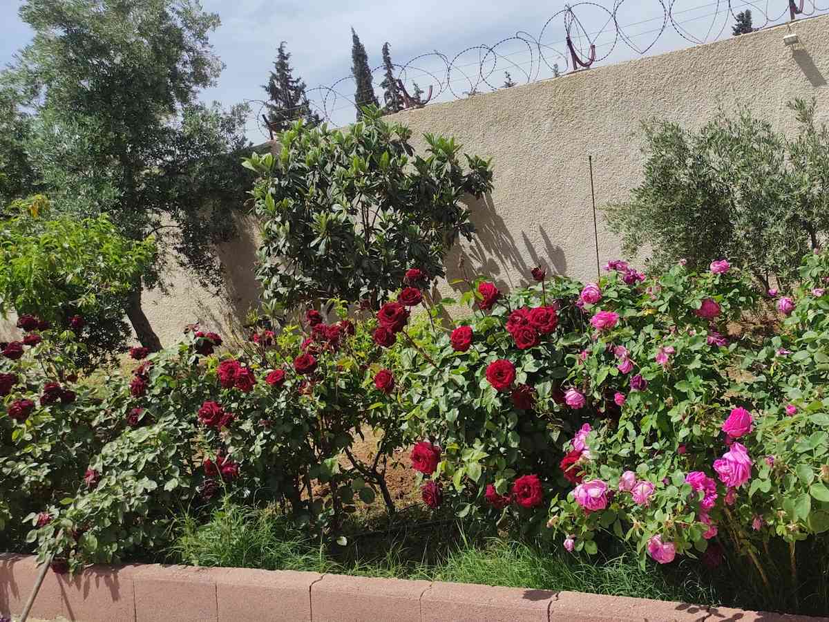 فيلا 225م² للبيع