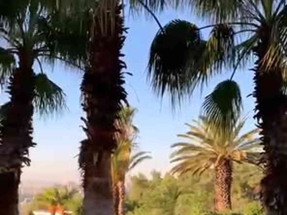 شقة 500م² للبيع