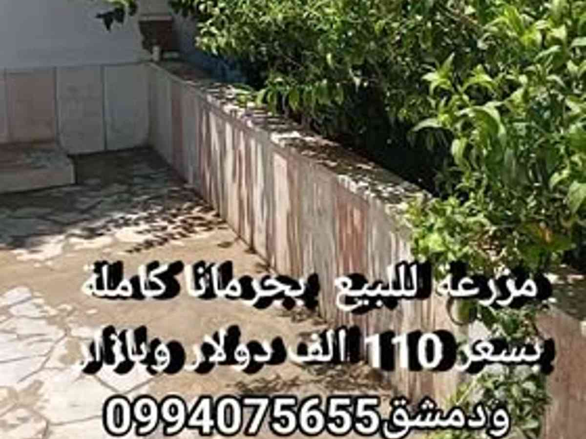 مزرعة 14000م² للبيع