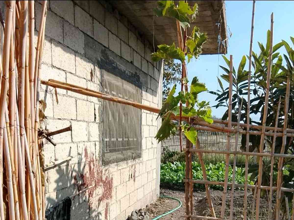 مزرعة 6341م² للبيع