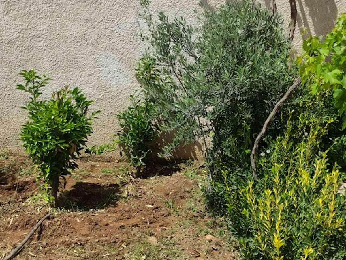 فيلا 225م² للبيع