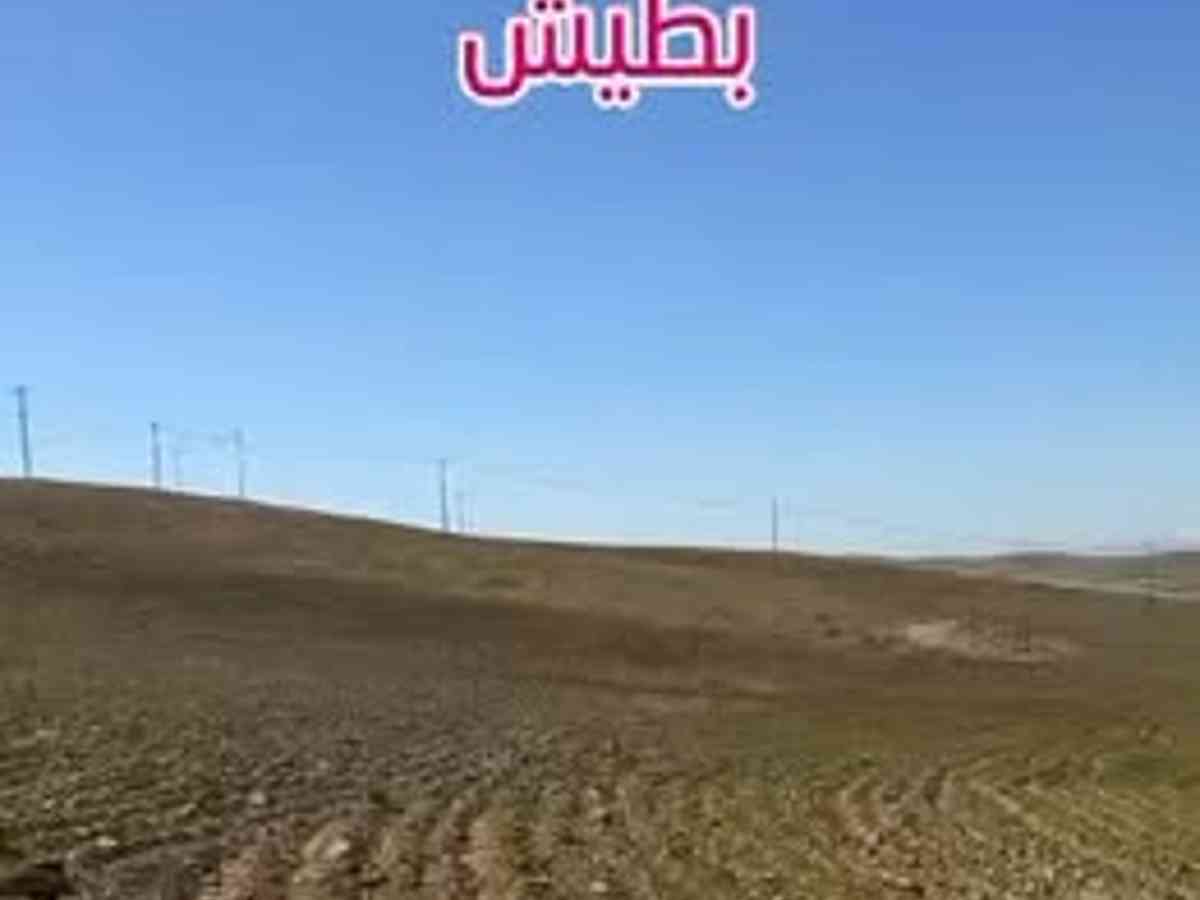 أرض 75000م² للبيع