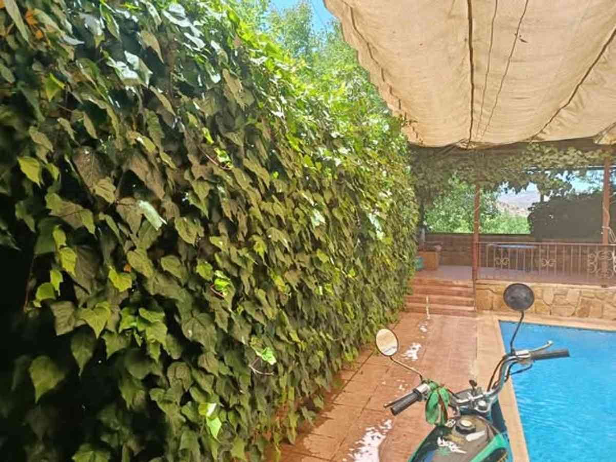 فيلا 3 غرف 1 صالات للإيجار اليومي
