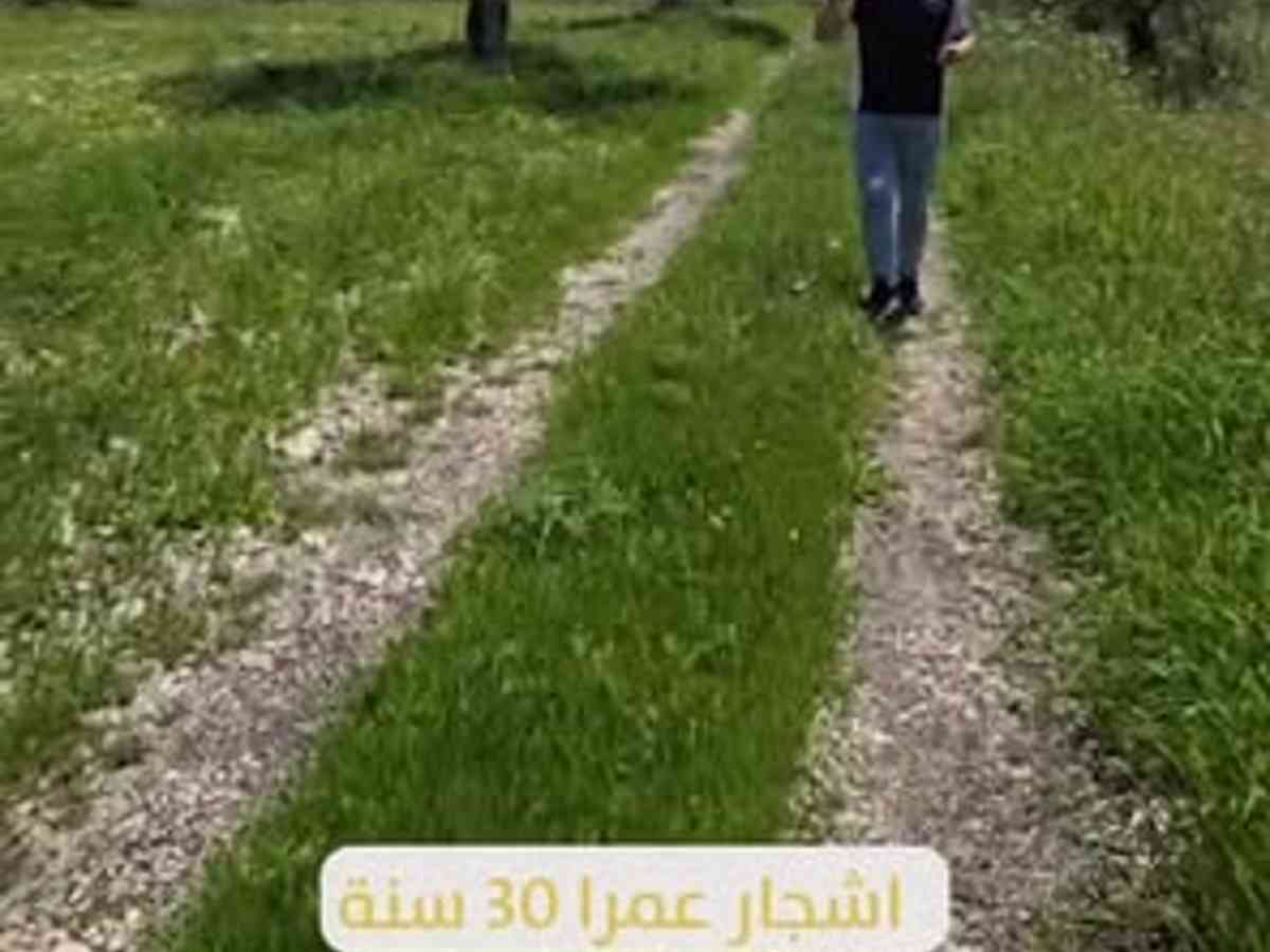 أرض 10500م² للبيع