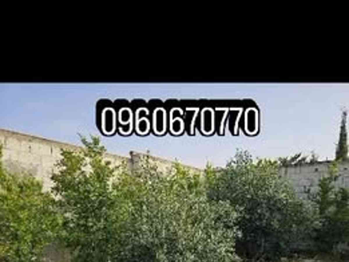 مزرعة 150م² للبيع
