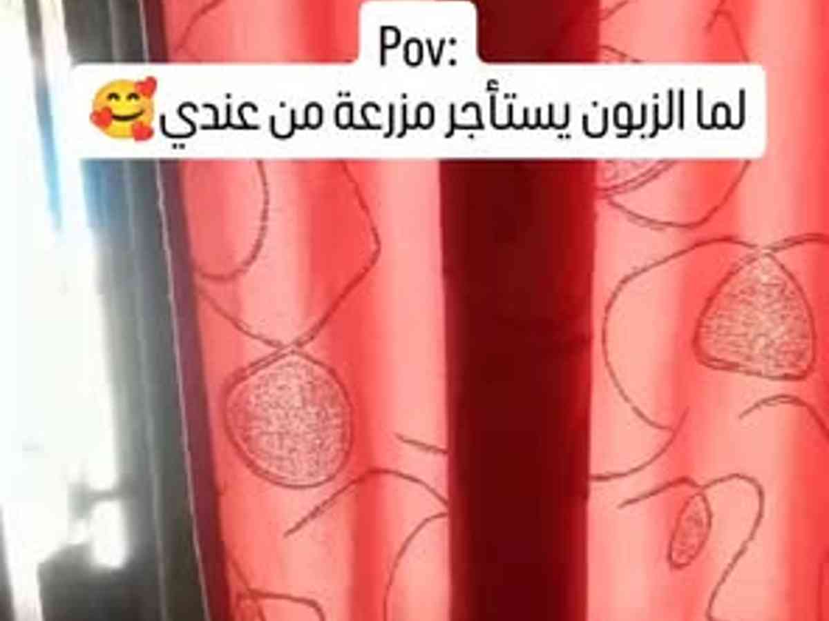 فيلا 4 غرف 1 صالات للإيجار اليومي