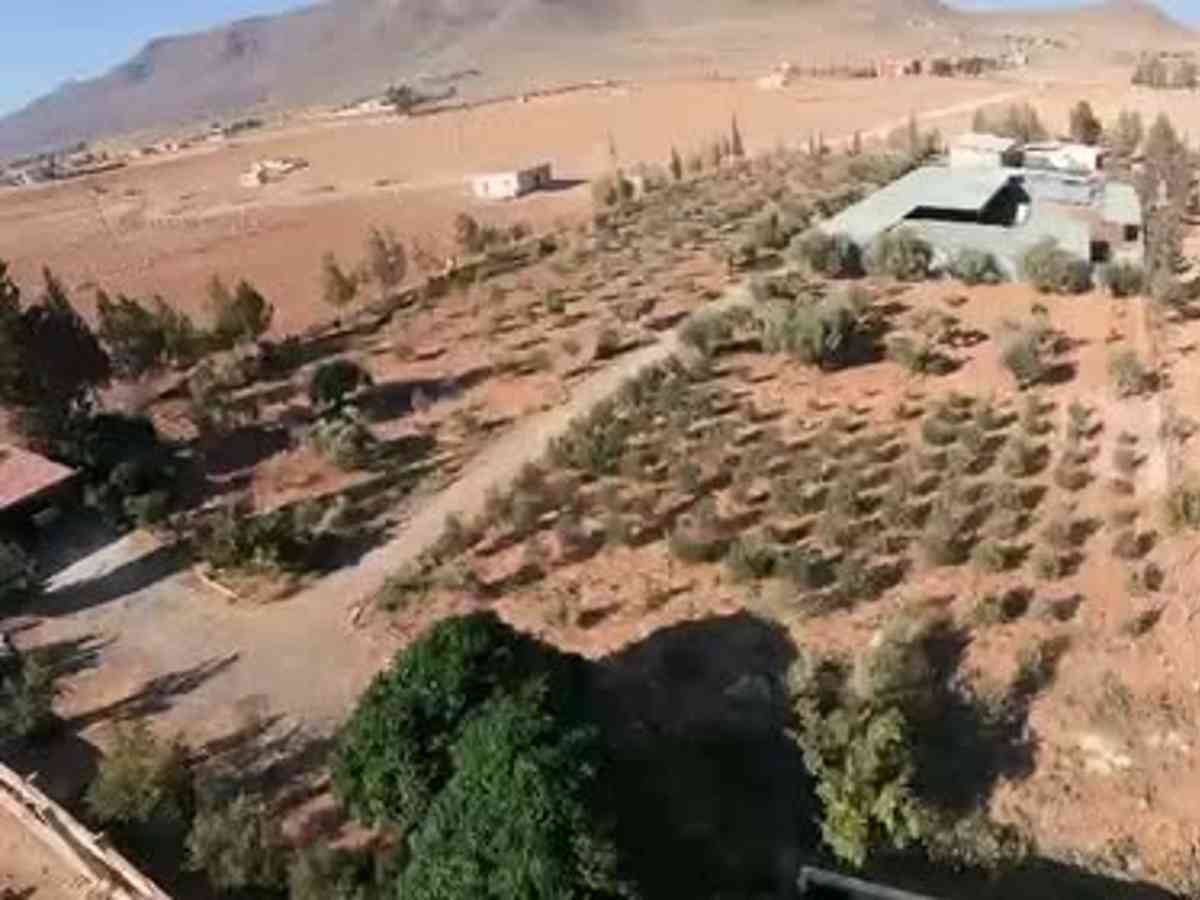 مزرعة 10000م² للبيع