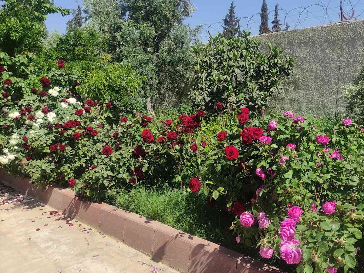 فيلا 225م² للبيع