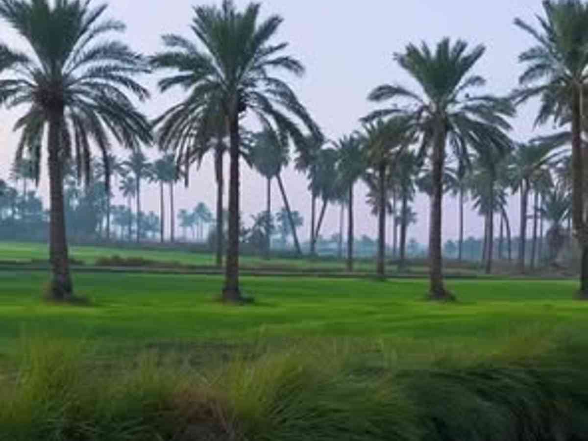 أرض 4700م² للبيع