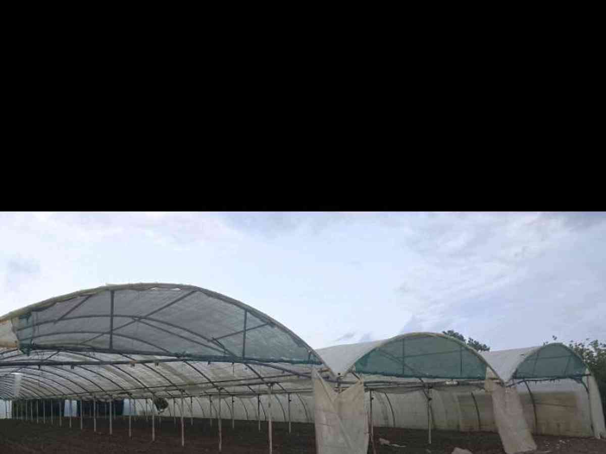 مزرعة 6341م² للبيع