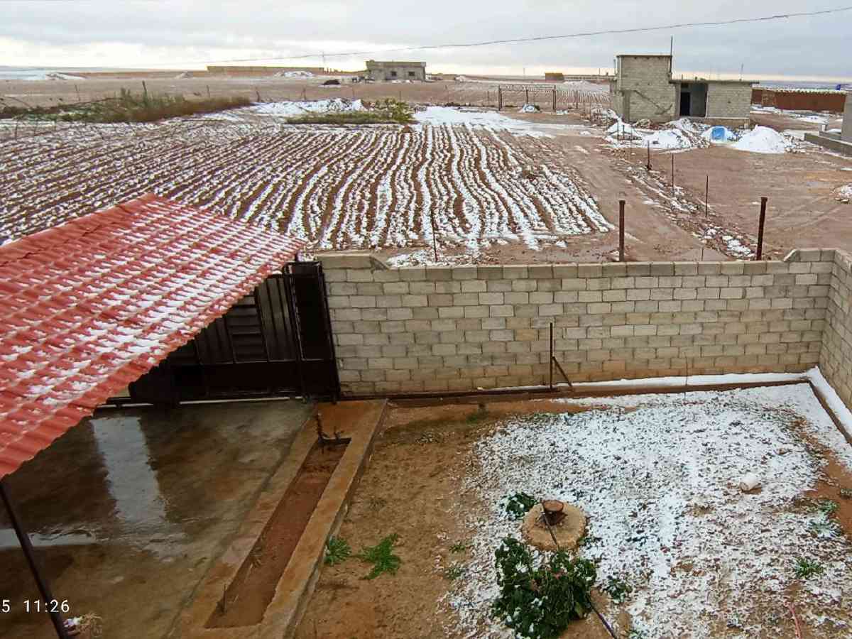 مزرعة 4 غرف 1500م² للبيع