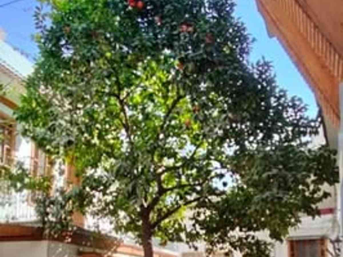 شقة 7 غرف 250م² للبيع