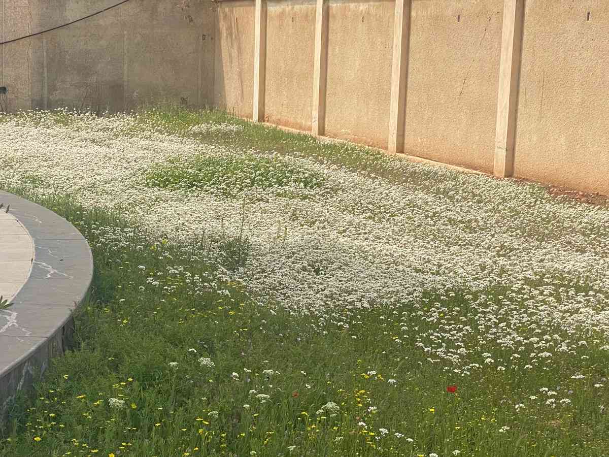 فيلا 5 غرف 3 صالات 540م² للبيع