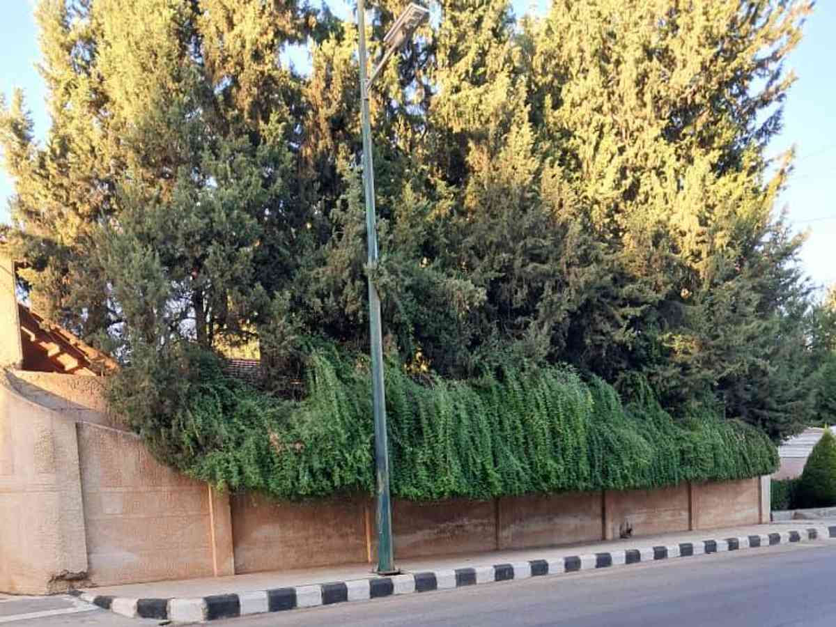 فيلا 500م² مع فرش للبيع